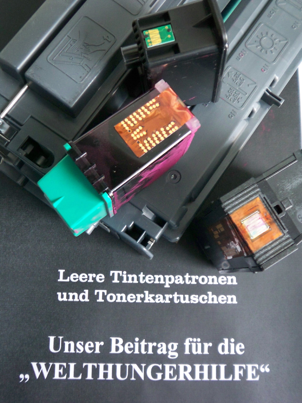 fw2008_05.JPG