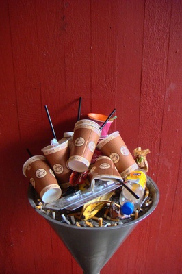 fw2008_06.JPG