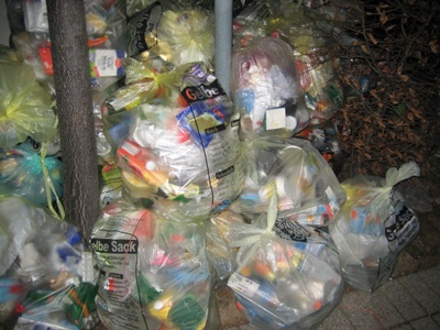 fw2008_09.JPG