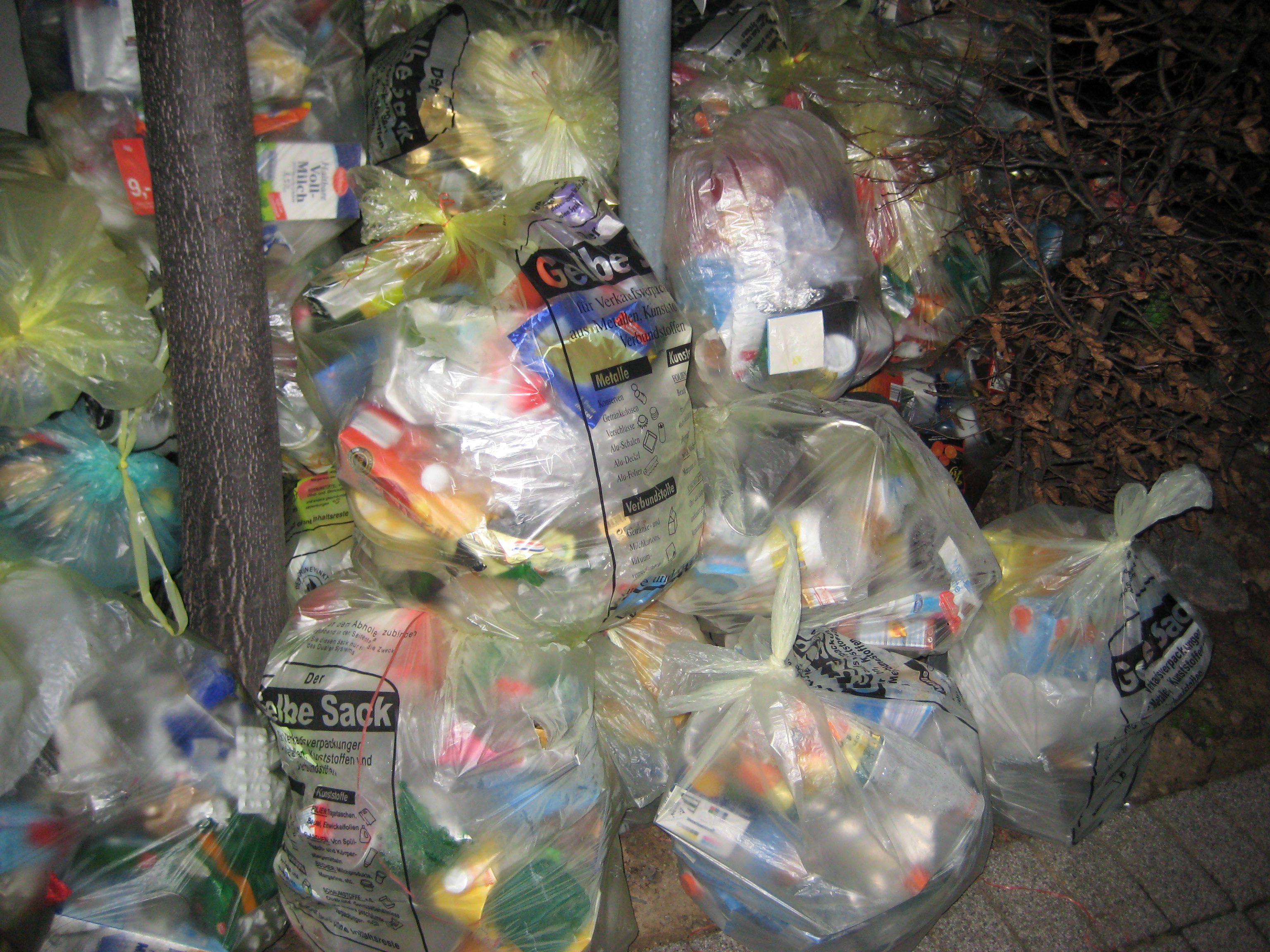 fw2008_09o.JPG