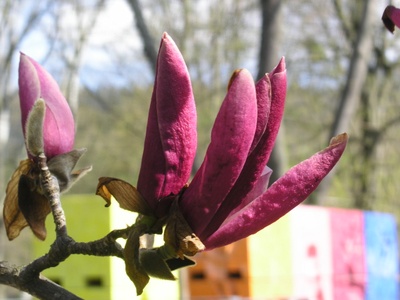 fw2008_10o.JPG
