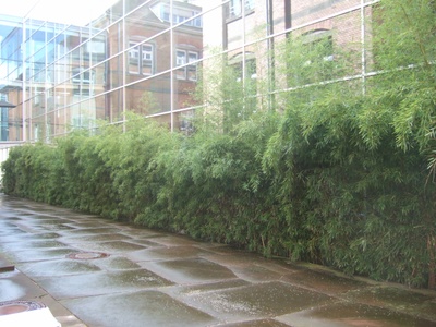 fw2008_13o.JPG