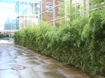 fw2008_14o.JPG