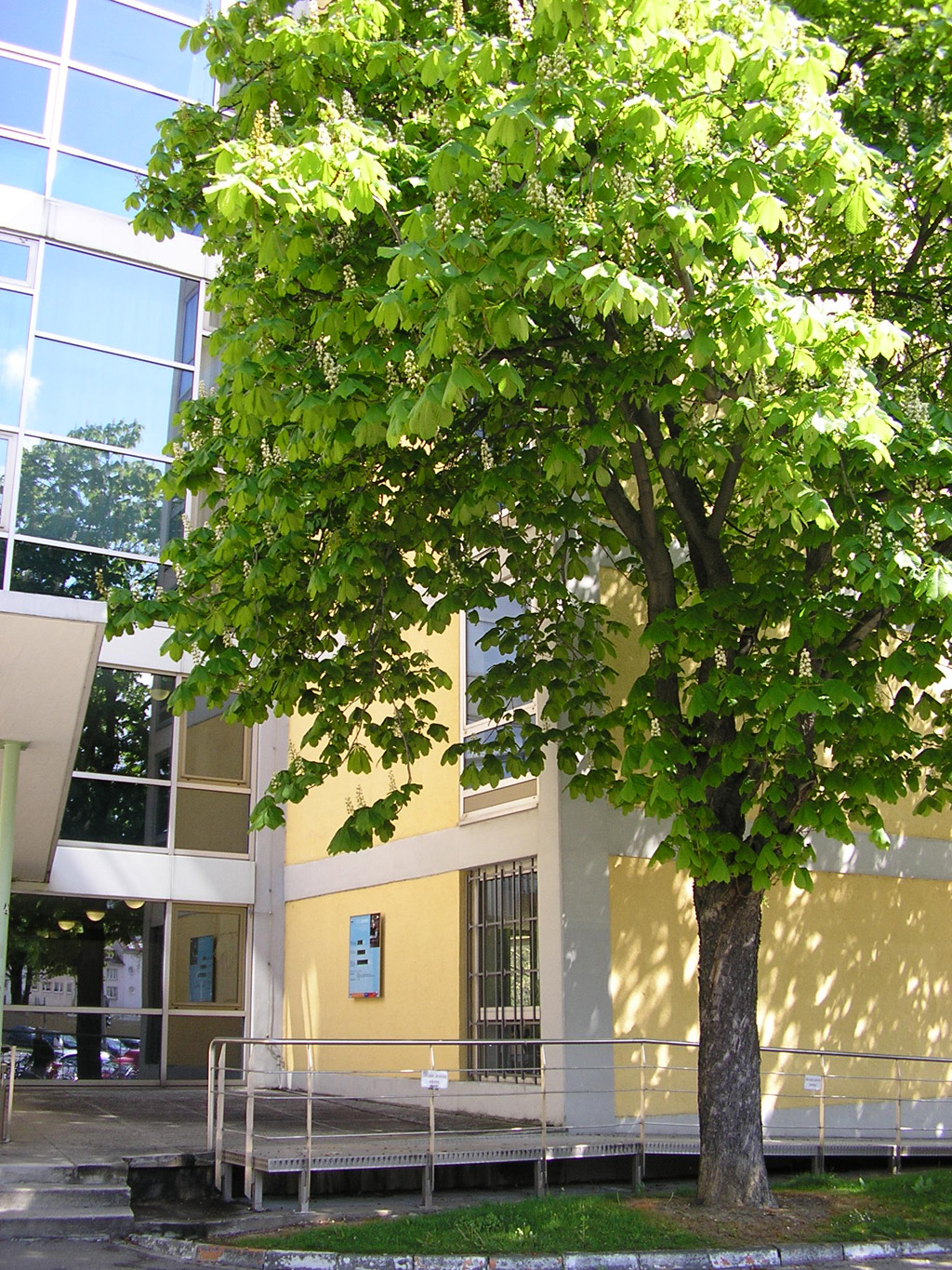fw2008_24.JPG