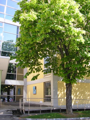 fw2008_24.JPG