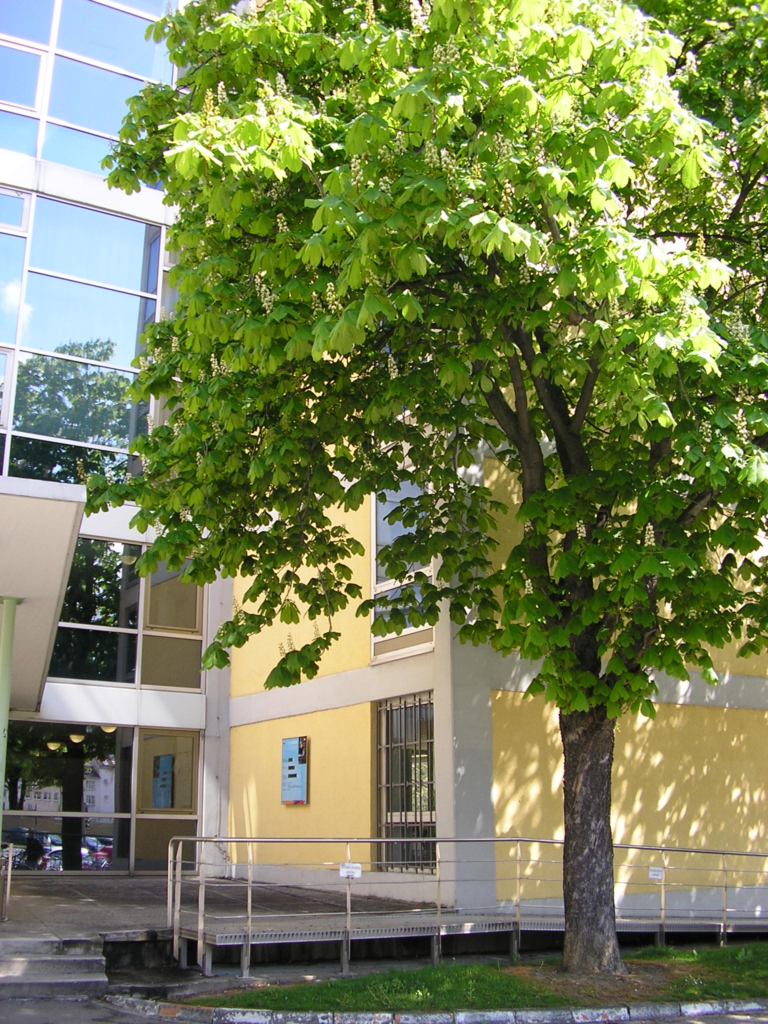 fw2008_24o.JPG