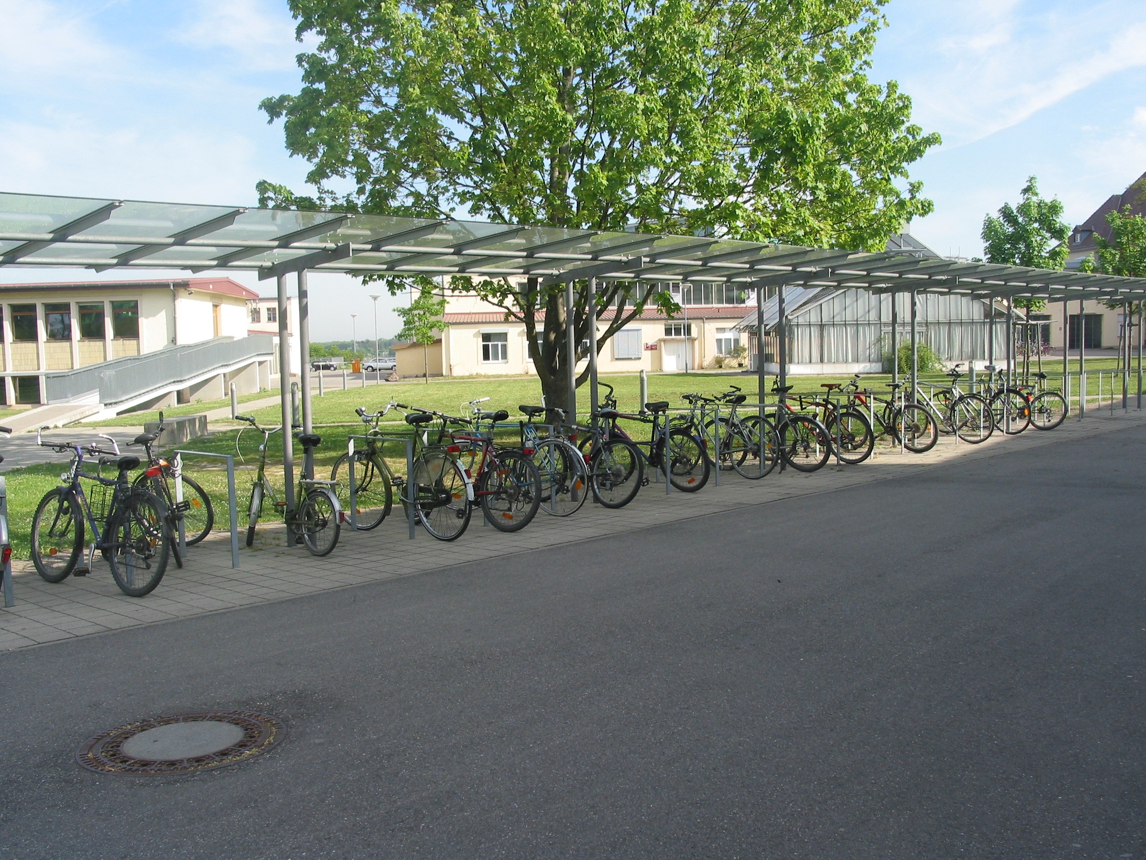 fw2008_26o.jpg