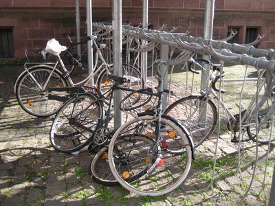 fw2008_35o.jpg