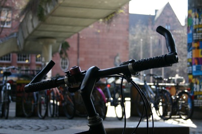 fw2008_38o.jpg