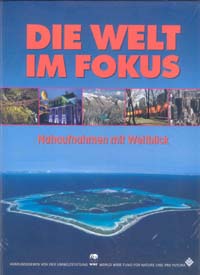 Welt-im-Fokus